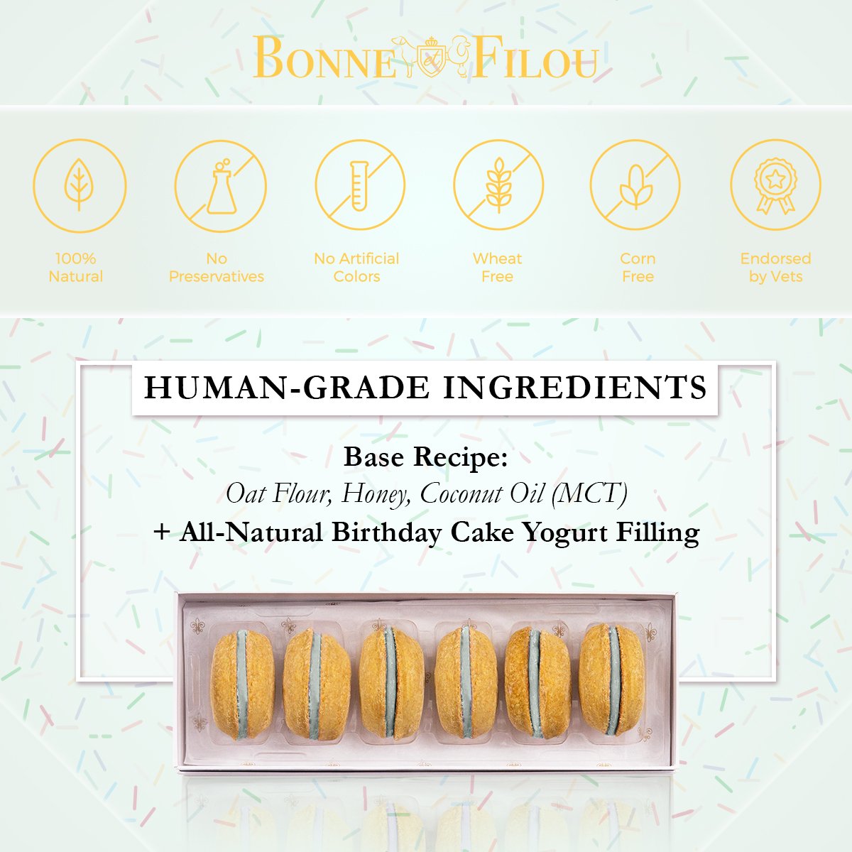 Dog Macarons (Box of 6) - bundle of 5 - Bonne et Filou