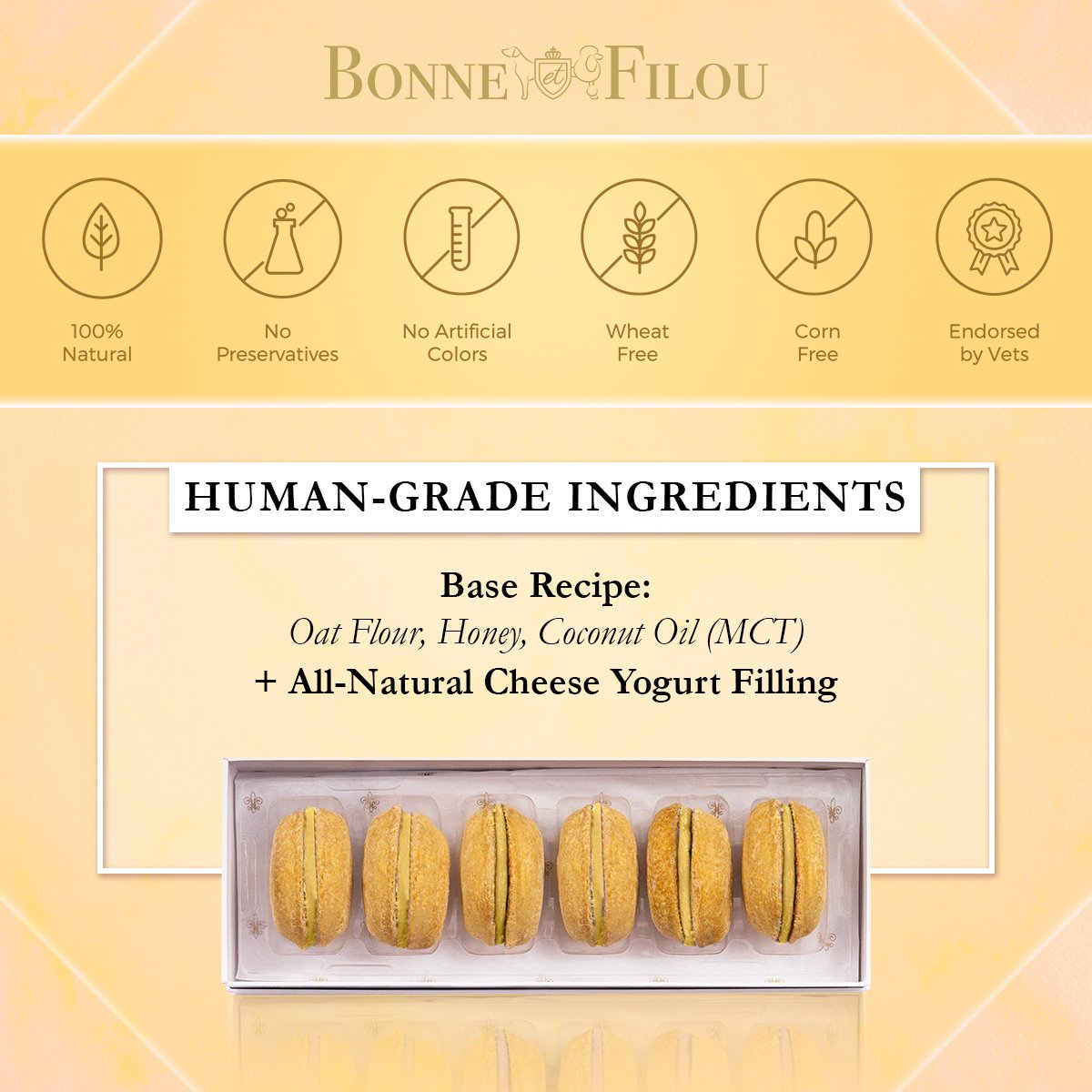 Dog Macarons (Box of 6) - bundle of 2 - Bonne et Filou