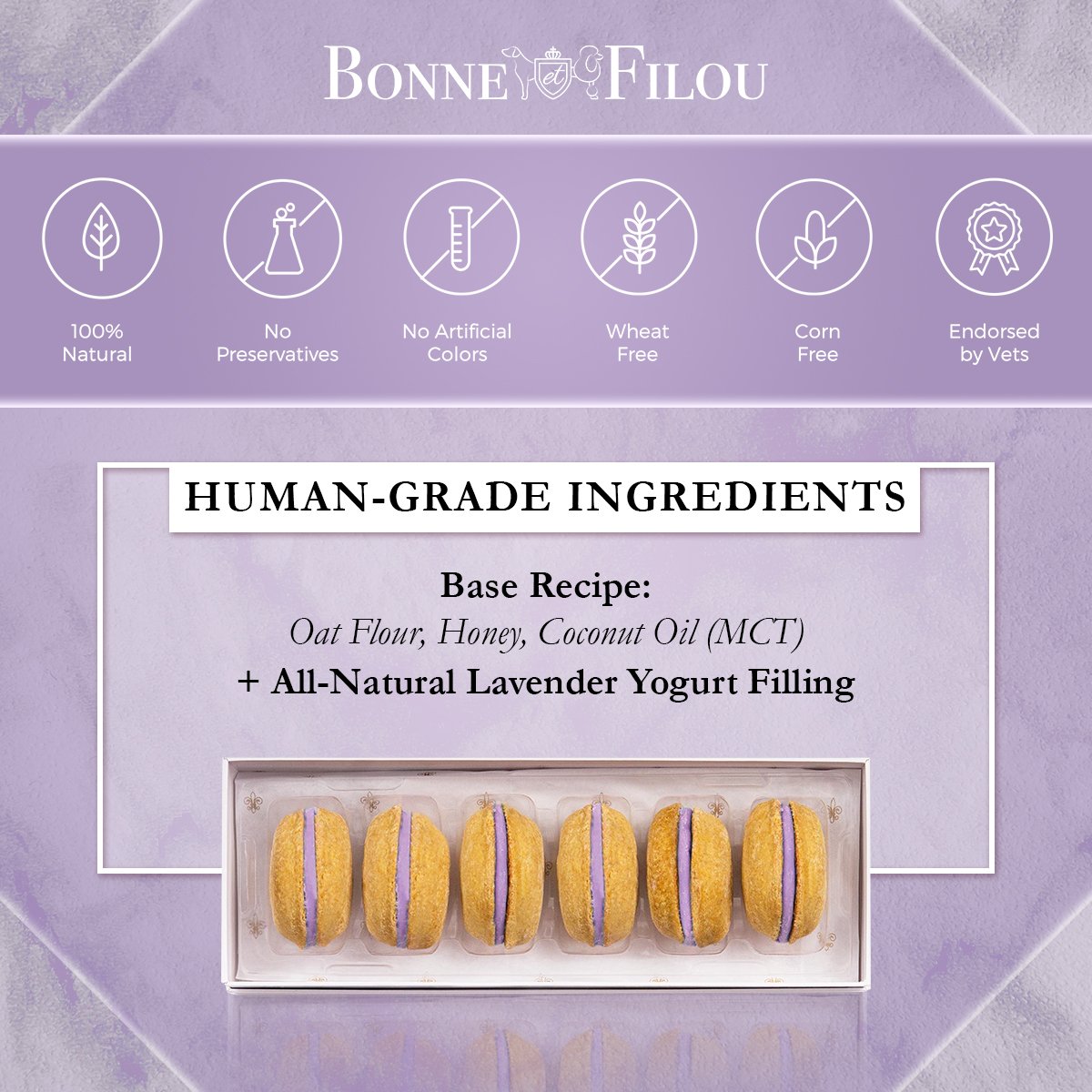 Dog Macarons (Box of 6) - bundle of 3 - Bonne et Filou