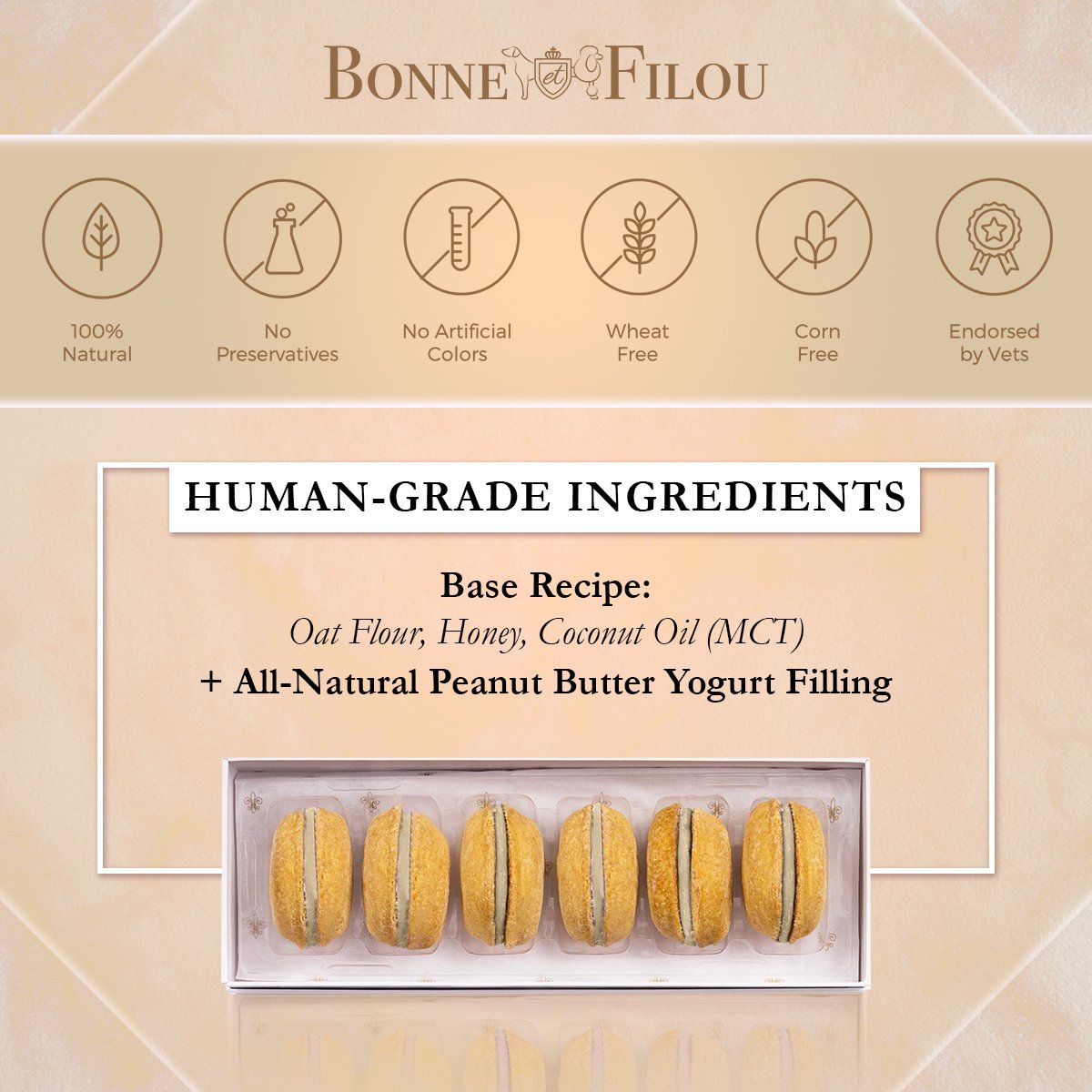 Dog Macarons (Box of 6) - bundle of 3 - Bonne et Filou