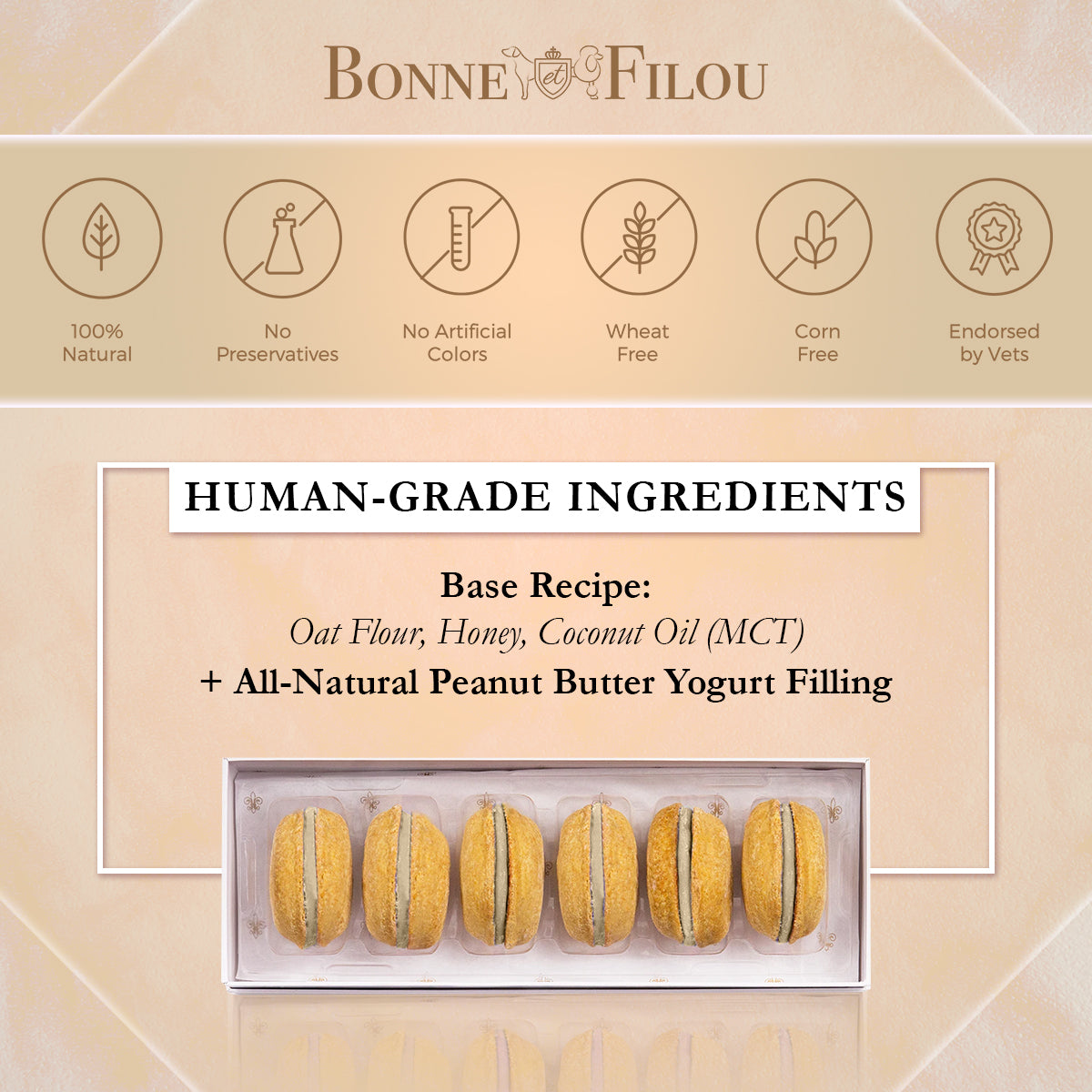 Dog Macarons (Box of 3) - Bonne et Filou