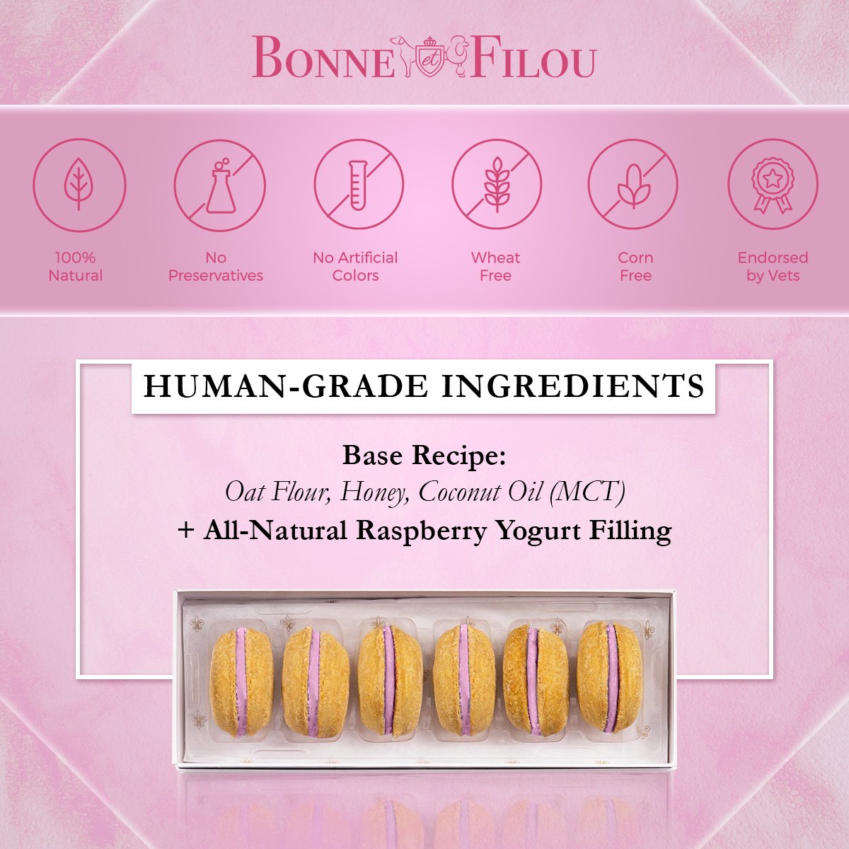 Dog Macarons (Box of 6) - bundle of 3 - Bonne et Filou