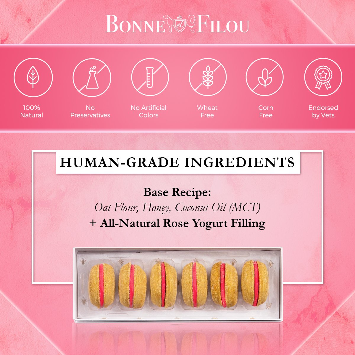 Dog Macarons (Box of 6) - bundle of 3 - Bonne et Filou