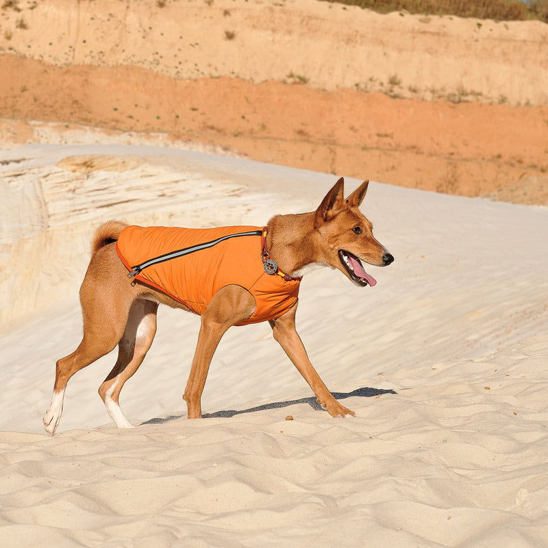 Sustainable Eco-Friendly Dog Jacket / Vest - Made in Ukraine - Bonne et Filou