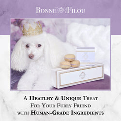 Lavender Dog Macarons - Bonne et Filou