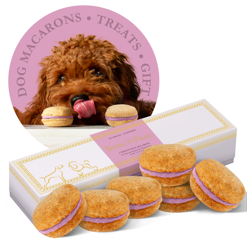 Dog Macarons (Box of 6) - Bonne et Filou