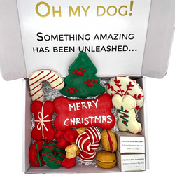 Christmas Dog Treats Gift Box - Bonne et Filou