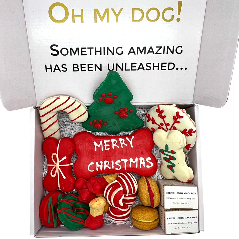 Dog christmas online gift box