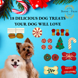Christmas Dog Treats Gift Box - Bonne et Filou
