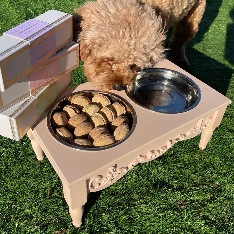 Bundle of 3-Boxes Dog Macarons + Elevated Pet Feeder - Bonne et Filou