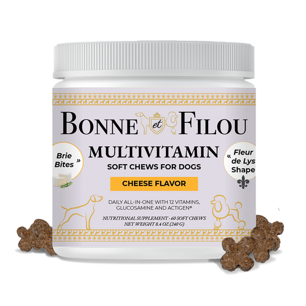 Multivitamin Soft Chews for Dogs (Cheese Flavor - 60 chews) - Bonne et Filou