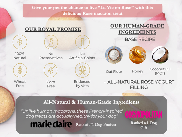 Rose Dog Macarons - Bonne et Filou