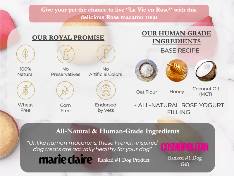 Rose Dog Macarons - Bonne et Filou